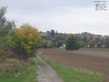 17 : 16
