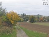 14 : 40