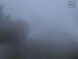 07 : 20