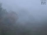 07 : 36