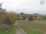 14 : 52