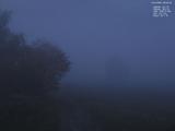 06 : 44