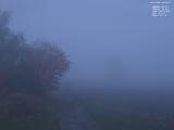 06 : 48