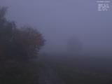 07 : 04