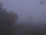 07 : 08