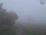 07 : 40