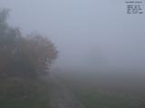 07 : 44