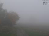 08 : 00