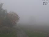 08 : 20