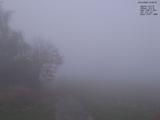 07 : 40