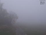 07 : 44