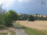 15 : 44