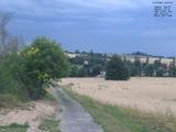 19 : 20