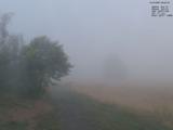 06 : 04