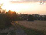 20 : 36