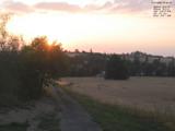 20 : 40
