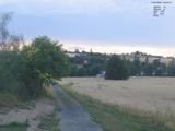 19 : 24
