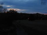 20 : 20