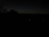 20 : 52
