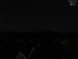 20 : 40