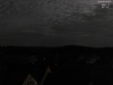 20 : 40