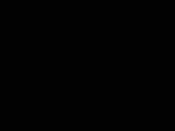 22 : 44