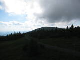 17 : 16