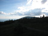 19 : 14