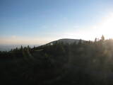 20 : 16