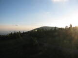 20 : 28