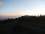 20 : 50