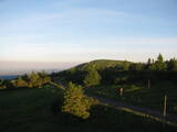 05 : 20