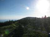 19 : 20