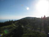 19 : 24