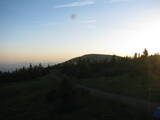 20 : 40