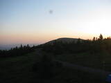 20 : 40