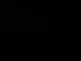 00 : 20
