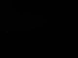 00 : 36