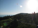 19 : 20