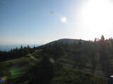19 : 24