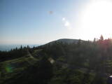 19 : 36