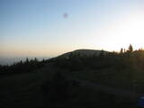 20 : 40