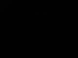 00 : 00
