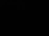 00 : 40