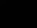 03 : 04