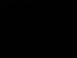 03 : 44