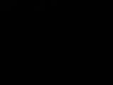 03 : 48