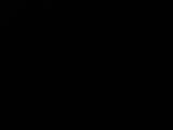 03 : 52