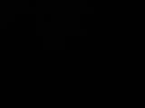 04 : 00