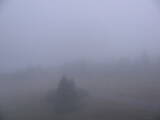 05 : 20